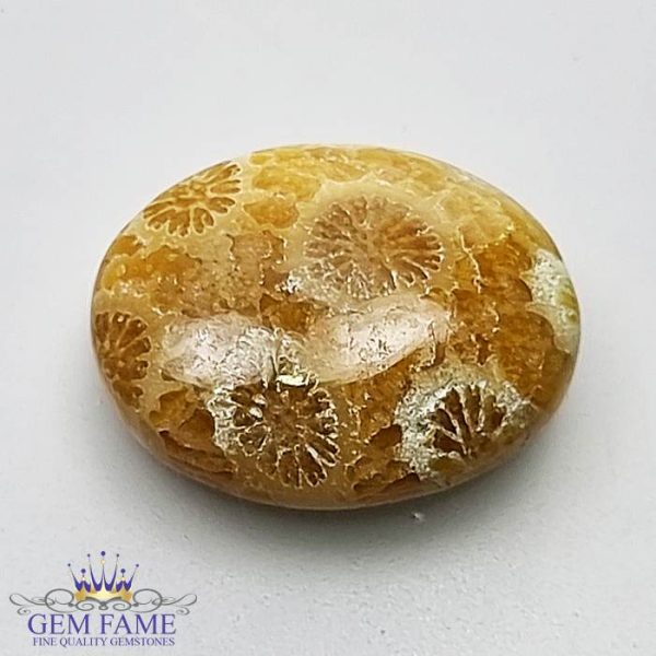 Fossil Coral Gemstone