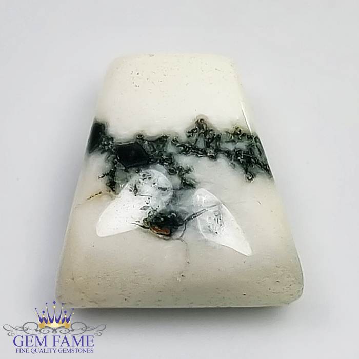 Moss Agate Gemstone