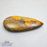 Bumble Bee Jasper Gemstone