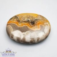 Bumble Bee Jasper Gemstone 34.09ct Indonesia