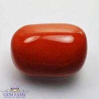 Coral (Moonga) Gemstone