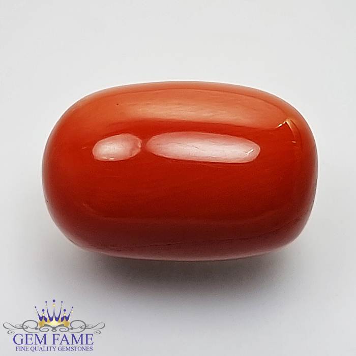 Coral (Moonga) Gemstone