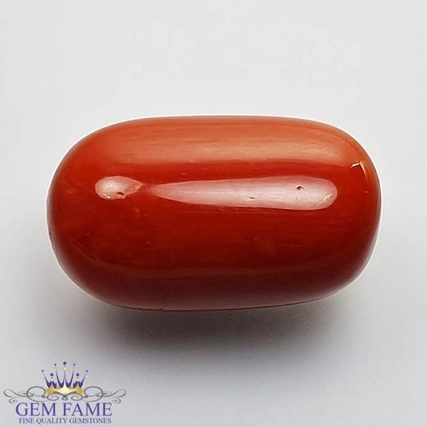 Coral (Moonga) Gemstone