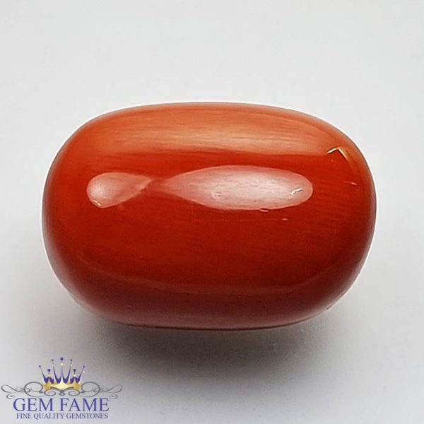 Coral (Moonga) Gemstone