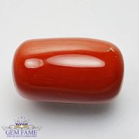 Coral (Moonga) Gemstone