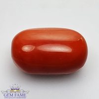 Coral (Moonga) Gemstone