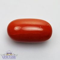 Coral (Moonga) Gemstone