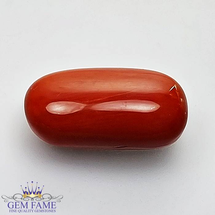 Coral (Moonga) Gemstone