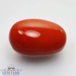 Coral (Moonga) Gemstone
