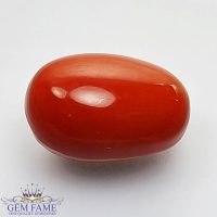 Coral (Moonga) Gemstone