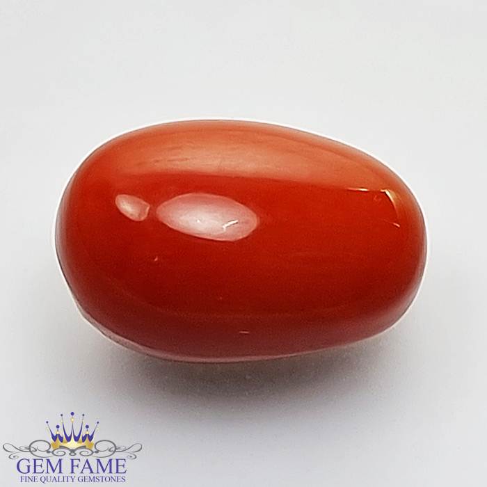 Coral (Moonga) Gemstone