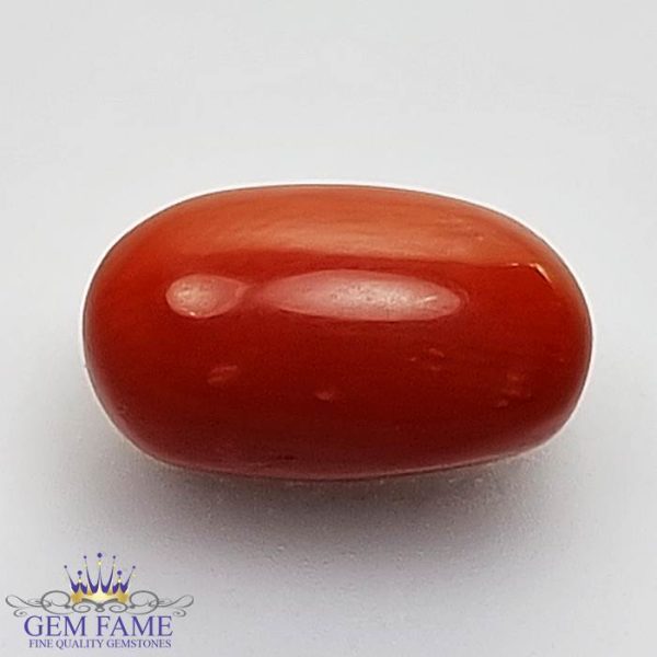 Coral (Moonga) Gemstone