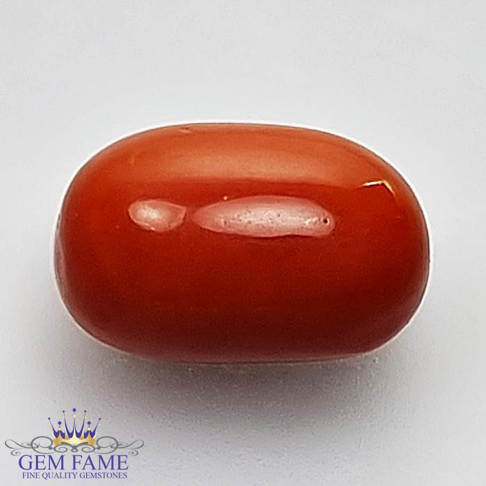 Coral (Moonga) Gemstone