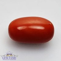 Coral (Moonga) Gemstone