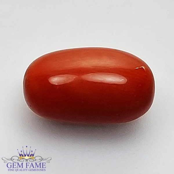 Coral (Moonga) Gemstone