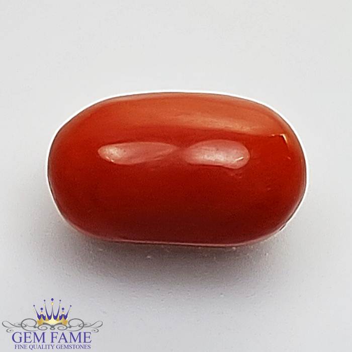 Coral (Moonga) Gemstone