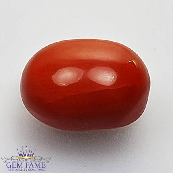 Coral (Moonga) Gemstone