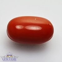 Coral (Moonga) Gemstone]