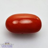 Coral (Moonga) Gemstone