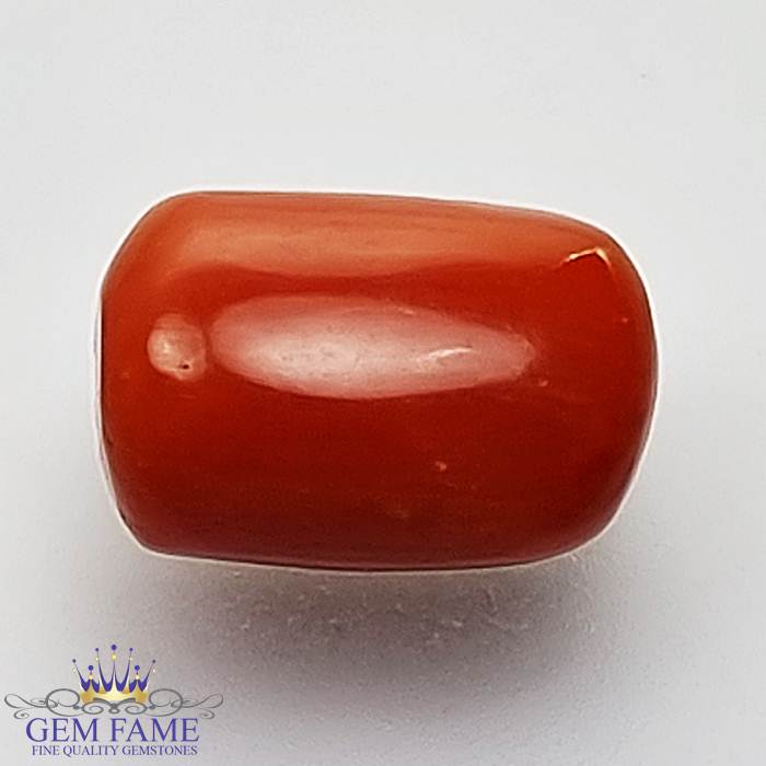 Coral (Moonga) Gemstone