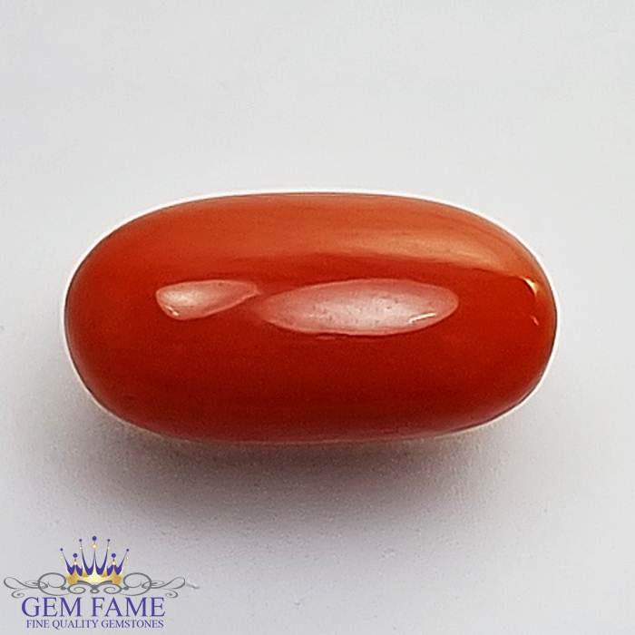 Coral (Moonga) Gemstone