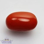 Coral (Moonga) Gemstone