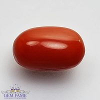 Coral (Moonga) Gemstone