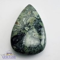 Kambaba Jasper Gemstone