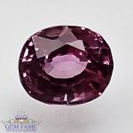 Pink Sapphire Gemstone