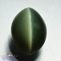 Quartz Cats Eye Gemstone