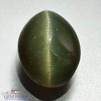 Quartz Cats Eye Gemstone