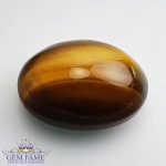 Tiger's Eye Gemstone 24.31ct India