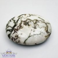Tree Agate Gemstone