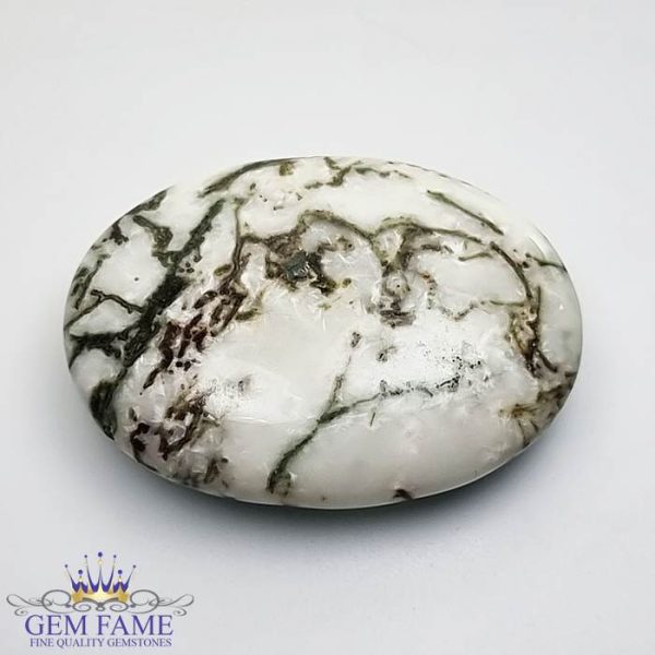 Tree Agate Gemstone