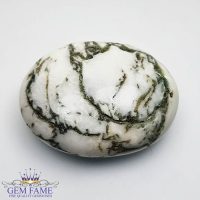 Tree Agate Gemstone