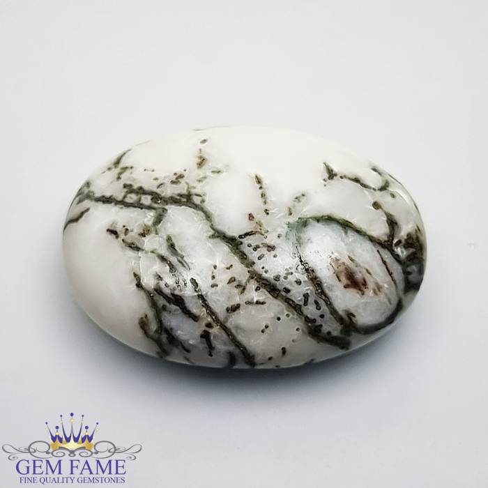 Tree Agate Gemstone