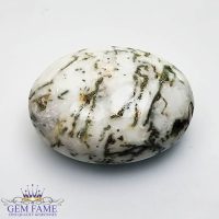 Tree Agate Gemstone