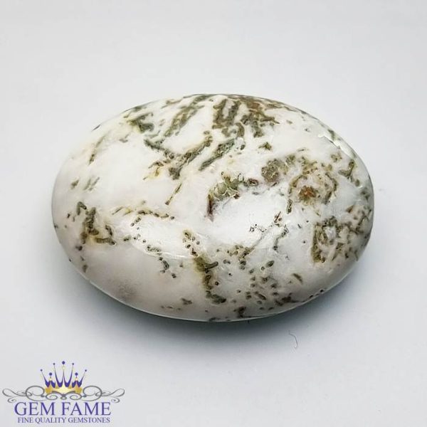 Tree Agate Gemstone