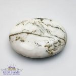 Tree Agate Gemstone