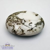 Tree Agate Gemstone