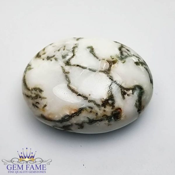 Tree Agate Gemstone