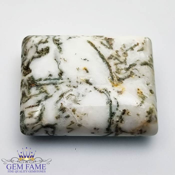 Tree Agate Gemstone