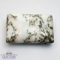 Tree Agate Gemstone