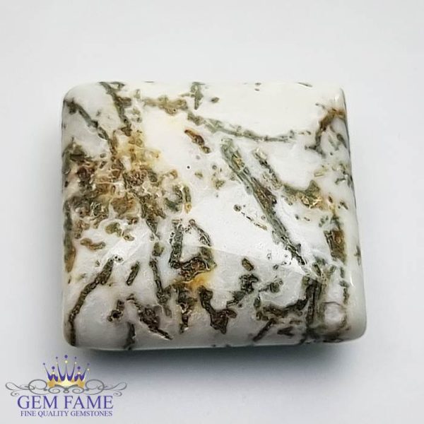 Tree Agate Gemstone