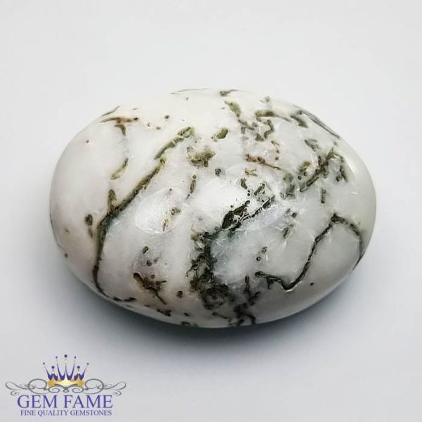 Tree Agate Gemstone