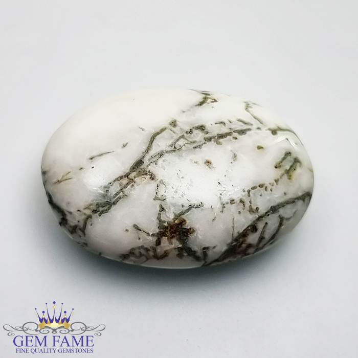 Tree Agate Gemstone