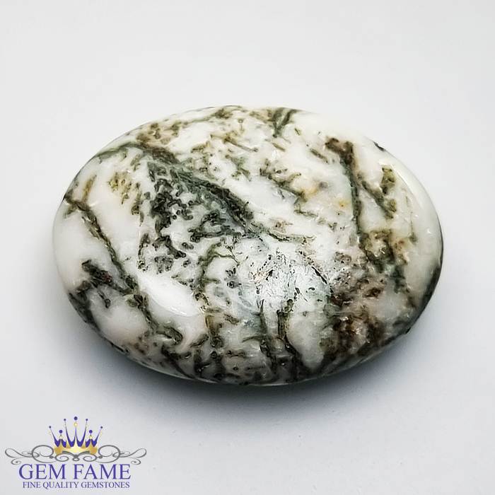 Tree Agate Gemstone