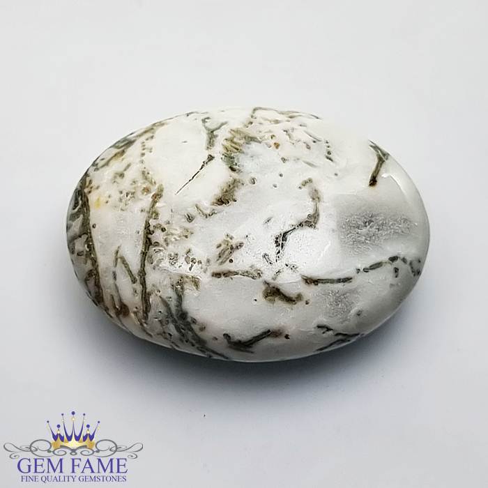 Tree Agate Gemstone