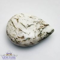 Tree Agate Gemstone