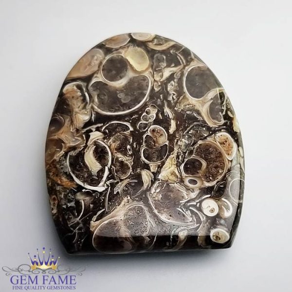 Turritella Agate Gemstone 48.55ct Mexico